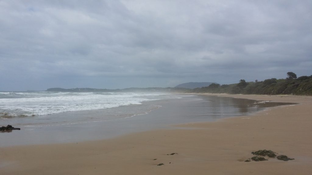 Looking back to where I started.  Yep - that little headland in the distance.